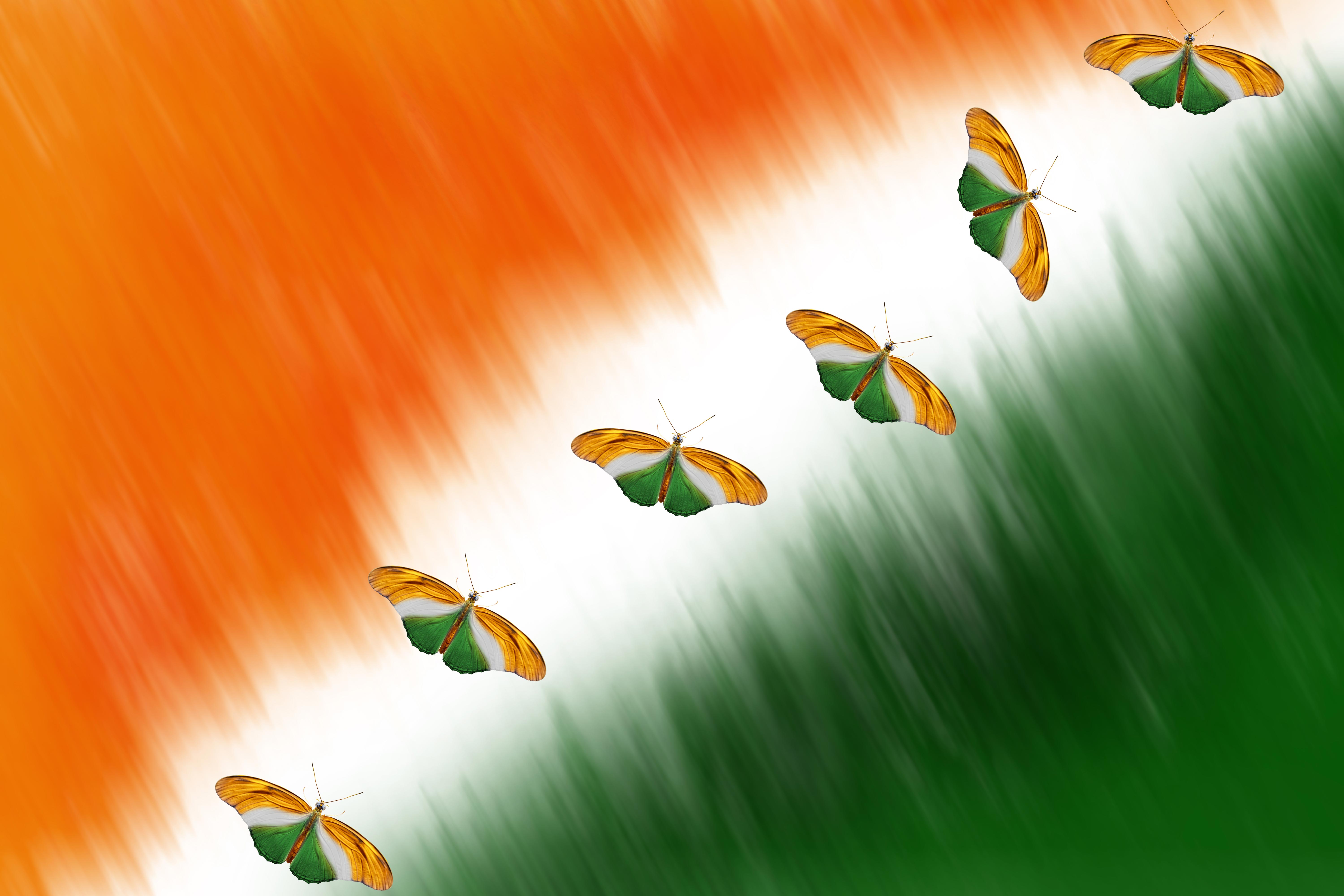 Best Indian Conceptual Flag Background Images Royalty-Free